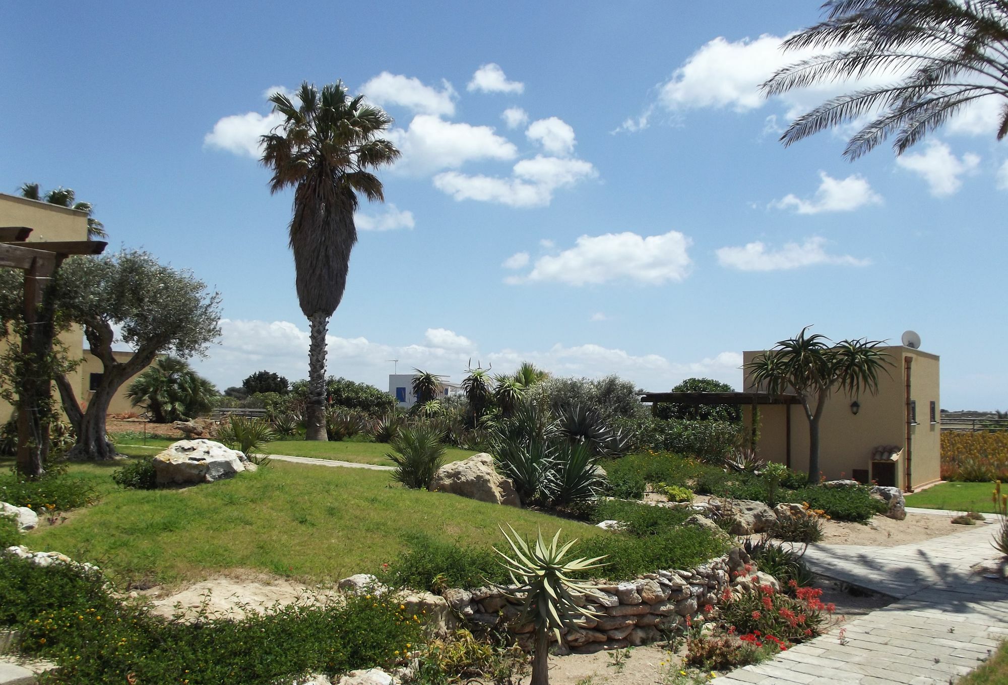 Il Giardino Delle Aloe Guest House Favignana Exterior photo